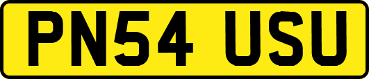 PN54USU