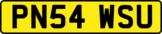 PN54WSU