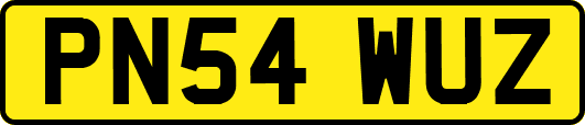 PN54WUZ