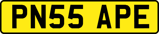 PN55APE