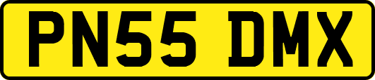 PN55DMX