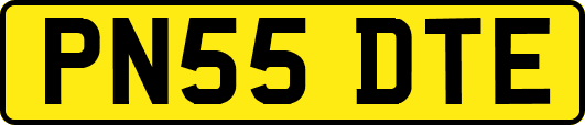 PN55DTE