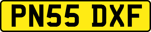 PN55DXF