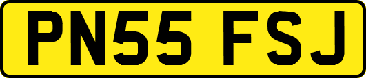 PN55FSJ