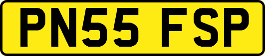 PN55FSP