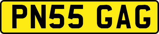 PN55GAG