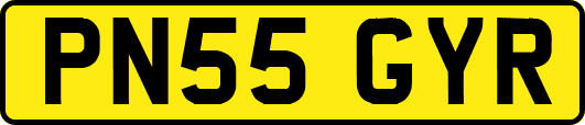 PN55GYR