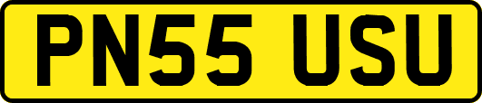 PN55USU