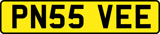 PN55VEE
