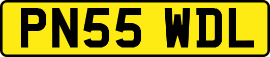 PN55WDL