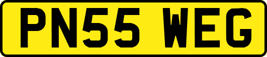 PN55WEG