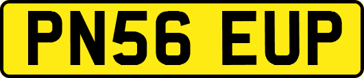 PN56EUP