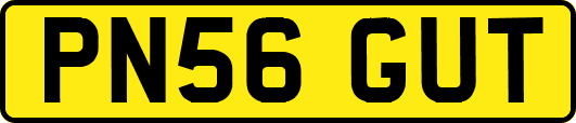 PN56GUT