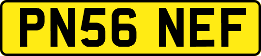 PN56NEF