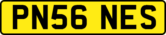 PN56NES
