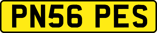 PN56PES