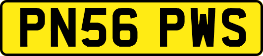 PN56PWS