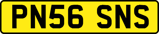 PN56SNS