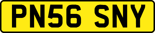 PN56SNY