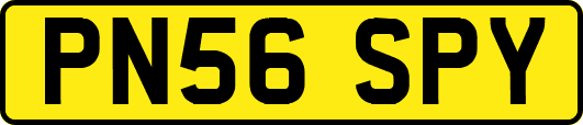 PN56SPY