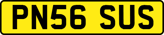 PN56SUS