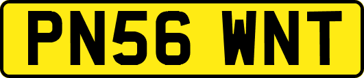 PN56WNT