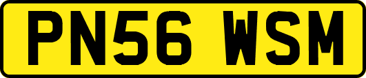 PN56WSM