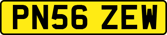 PN56ZEW