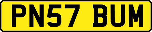 PN57BUM