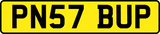 PN57BUP
