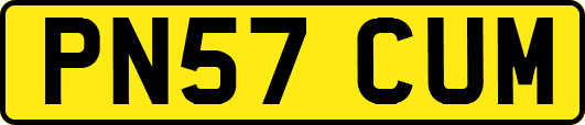 PN57CUM