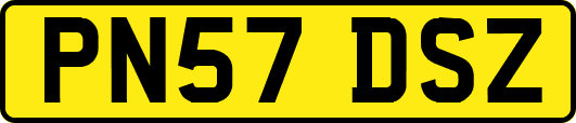 PN57DSZ