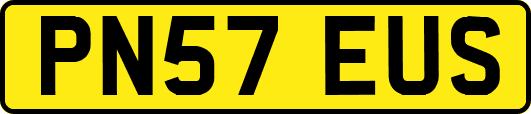 PN57EUS