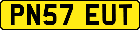 PN57EUT