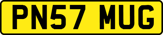 PN57MUG