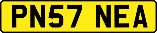 PN57NEA