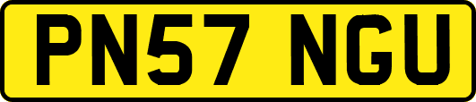PN57NGU