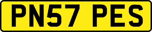 PN57PES