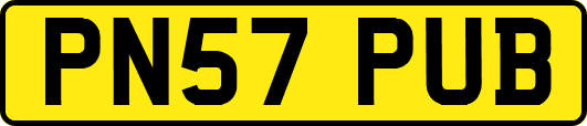 PN57PUB