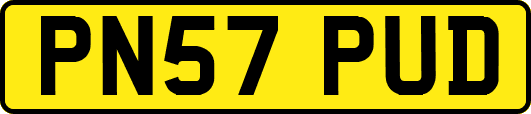 PN57PUD