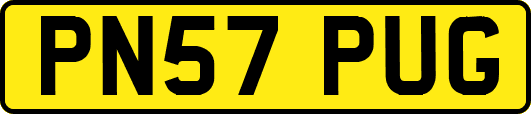 PN57PUG