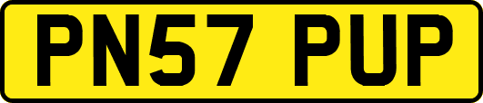 PN57PUP