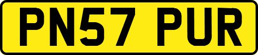 PN57PUR