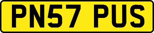 PN57PUS