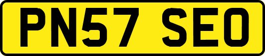 PN57SEO