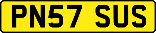 PN57SUS