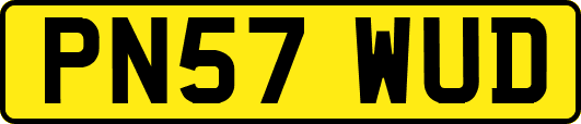 PN57WUD