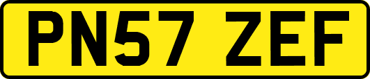 PN57ZEF