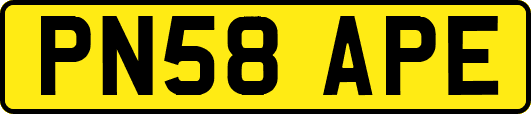 PN58APE