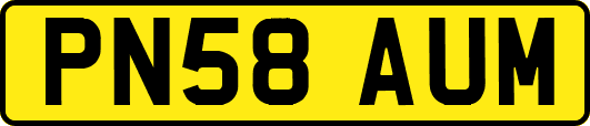 PN58AUM